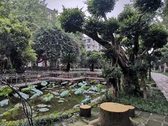 -江湾神木园