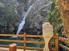 -海南霸王岭国家森林公园