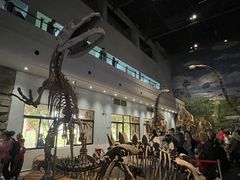 -自贡恐龙博物馆