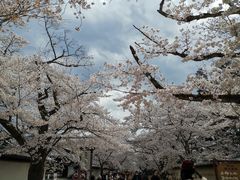 -醍醐寺