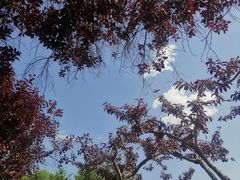 -郑州植物园
