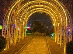 -南宫五洲植物乐园