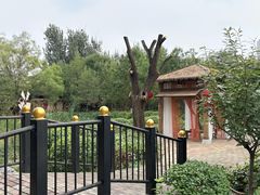 -太阳宫公园