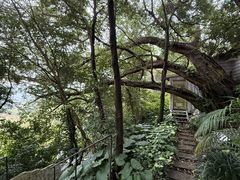 -VVG Hideaway 好样秘境
