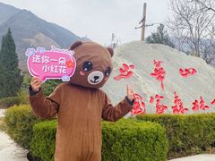 -少华山国家森林公园