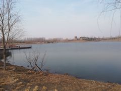 -东郊湿地公园