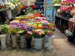 -双季花艺园艺市场(浦东店)