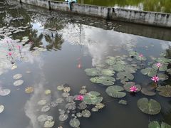 -红色娘子军纪念园