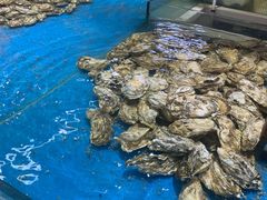 -渔乐圈海鲜餐厅(群力金江路店)