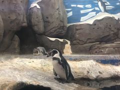 -梦幻海洋王国(吾悦广场张家港店)