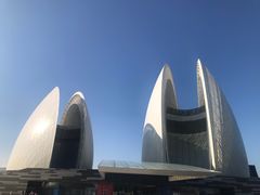 -野狸岛
