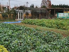 -小鱼草莓采摘园农家乐·小鱼餐厅
