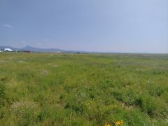 -敕勒川草原