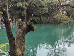 -小七孔景区-六十八级跌水瀑布