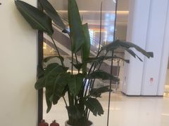 -雲己推拿院·养生SPA(江北龙湖天街店)