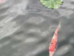 -濮园 · 四合院餐厅