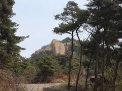 -鲁山国家森林公园