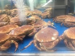 -盒马X会员店(上海森兰商都店)