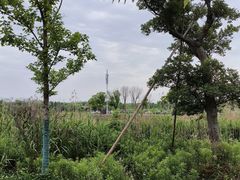 -广富林郊野公园
