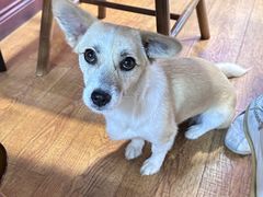 -观桥阁(锦溪店)