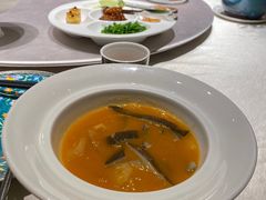 二十年花胶烩汉寿甲鱼裙边-喜湘宴·精致湖南菜(西客站南广场店)