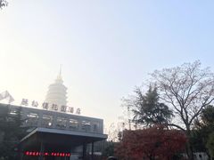 -听松楼·花园酒店·自助餐厅(红梅公园店)