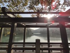 -白马涧龙池景区