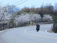 -四明山国家森林公园