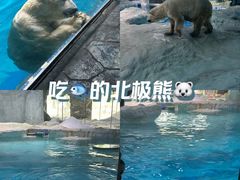 -珠海长隆海洋王国