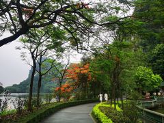 -星湖旅游景区七星岩