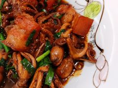 八爪鱼炖红烧肉-渔满仓海鲜楼
