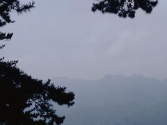 -塔云山