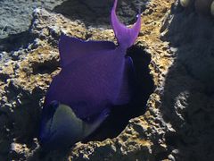 -多彩贵州城极地海洋世界