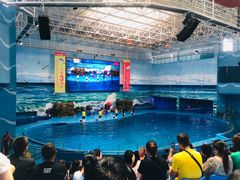 -多彩贵州城极地海洋世界