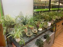-813芭依珊 BAESAn(皇冠十畝地店)