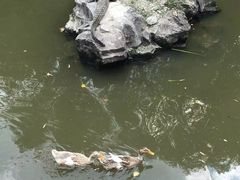 -野生动物园-停车场