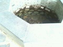 android_upload_pic-广西壮族自治区药用植物园
