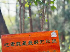 -寂照庵