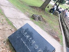 -奈良公园