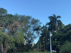 -九龙公园