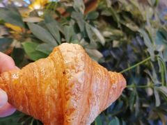 -月枫堂(长春这有山店)