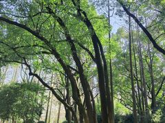 -徐家汇源景区-衡山公园