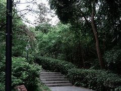-燕晗山郊野公园