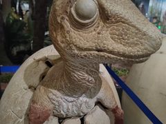 -湖南省地质博物馆