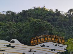 -西双版纳原始森林公园