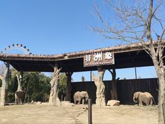-上海野生动物园