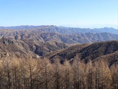 -苏木山森林公园