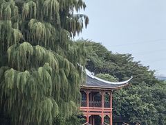 -顺峰山公园