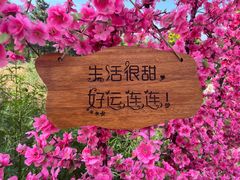 -北京凤凰岭