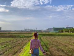 -光明小镇欢乐田园